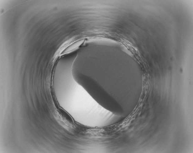 X0000087700051200705251743