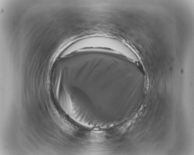 X0000087700055200705251744