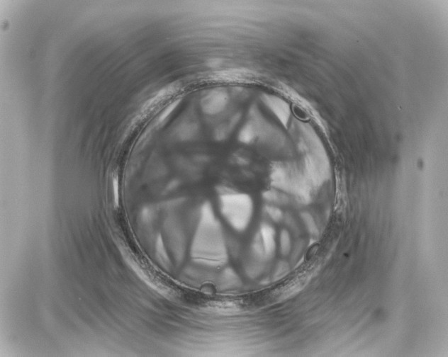 X0000087700061200705251744