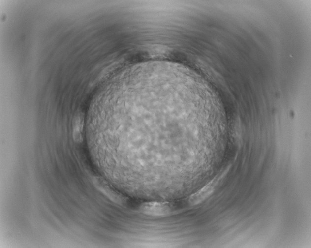 X0000087700082200705251744