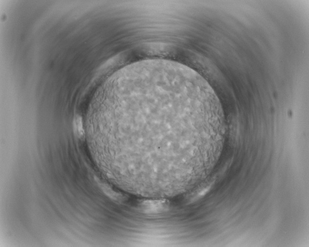 X0000087700089200705251744