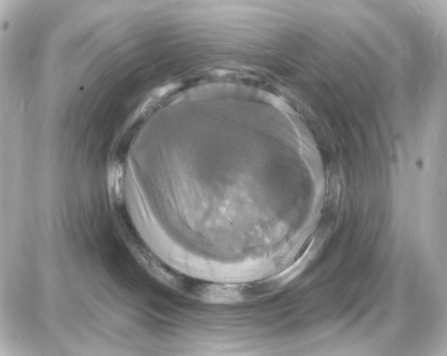 X0000087700094200705251744