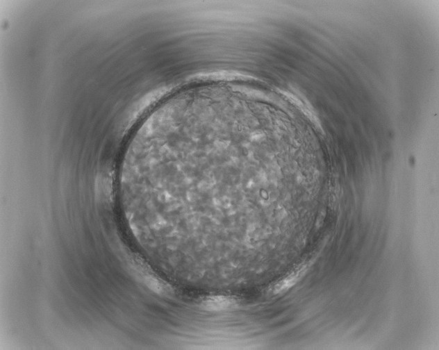 X0000087700111200705251743