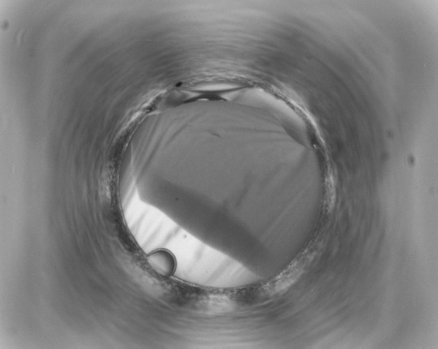 X0000087700114200705251743