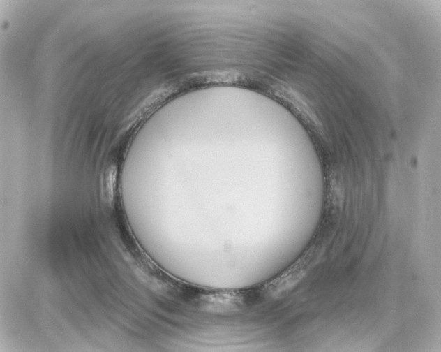 X0000087700118200705251743
