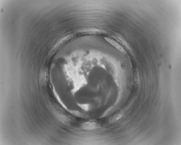 X0000087700119200705251743