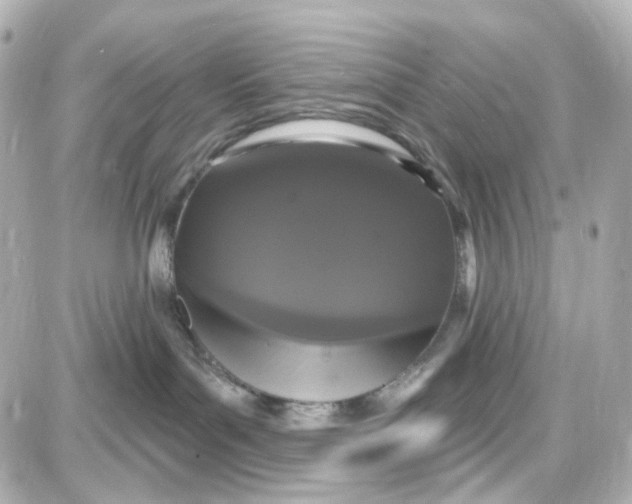 X0000087700143200705251743