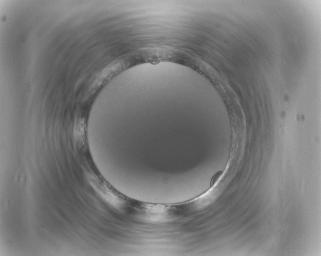 X0000087700144200705251743