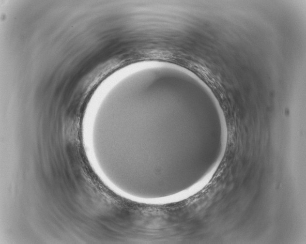 X0000087700146200705251742