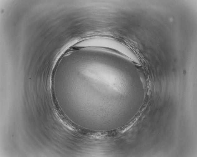 X0000087700148200705251742