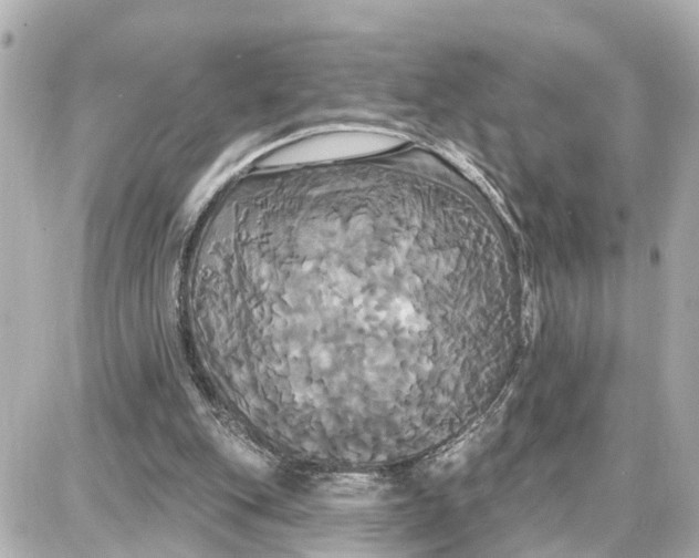 X0000087700151200705251742