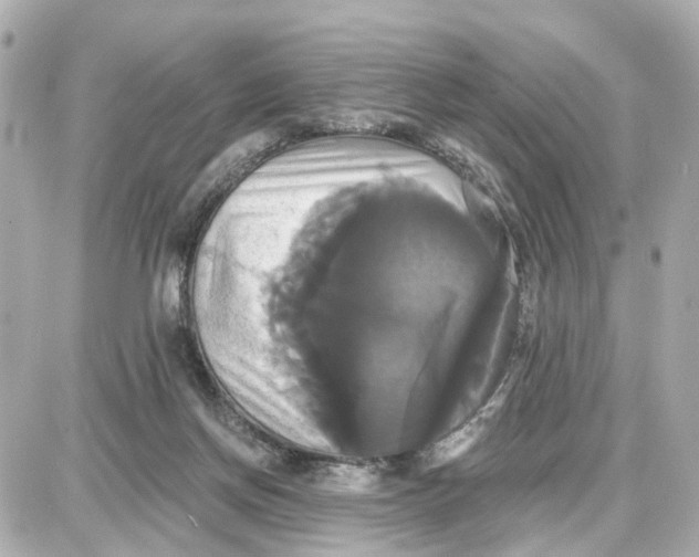 X0000087700166200705251742