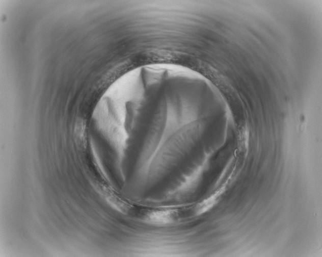 X0000087700178200705251742