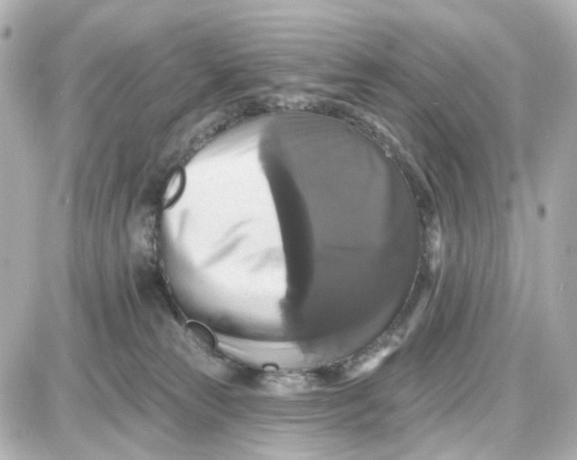 X0000087700181200705251742