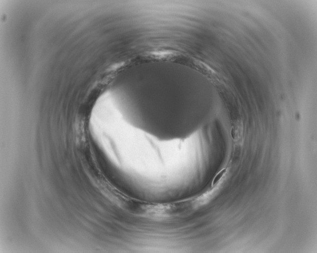 X0000087700182200705251742