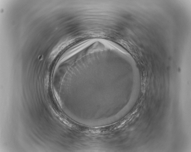 X0000087700194200705251742