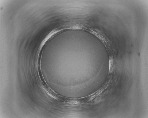 X0000087700195200705251742