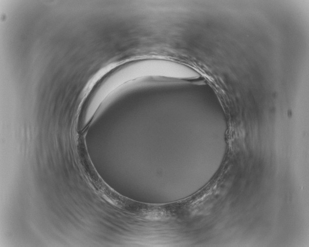 X0000087700200200705251742