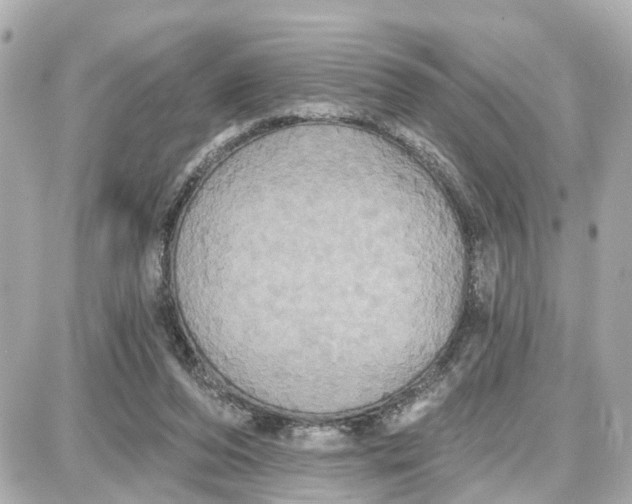X0000087700208200705251742
