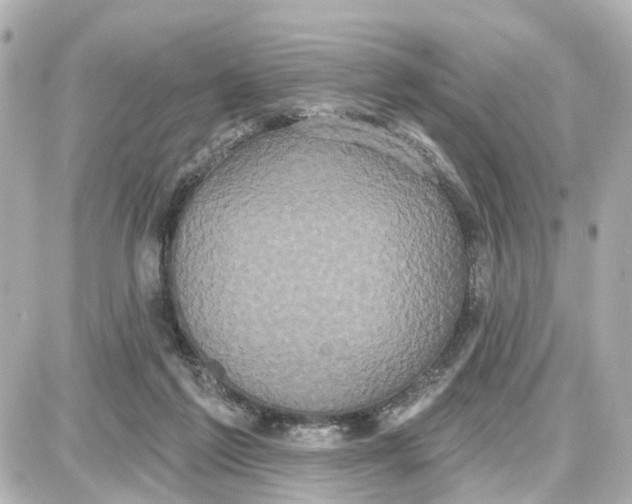 X0000087700213200705251742