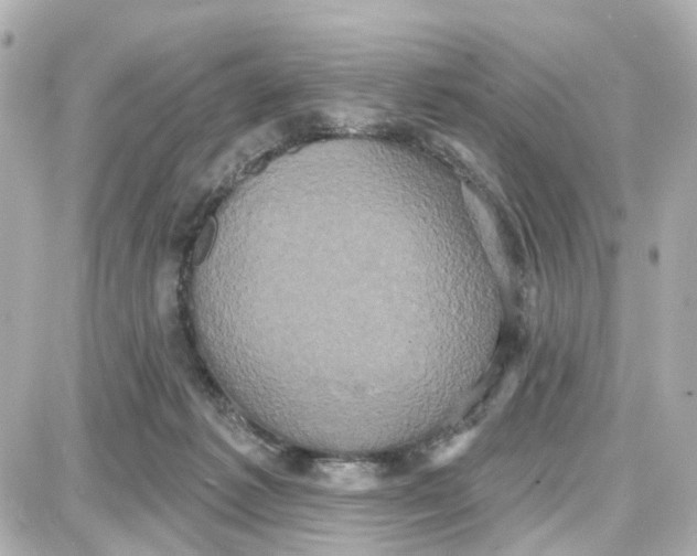 X0000087700221200705251741