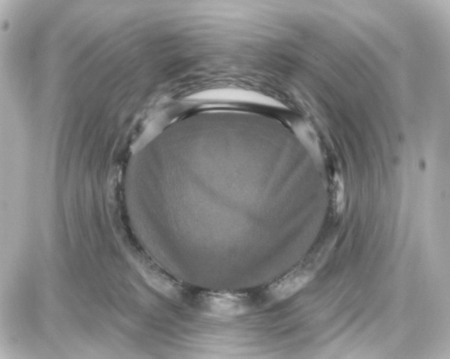 X0000087700229200705251741
