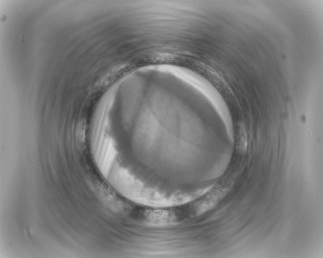 X0000087700230200705251741