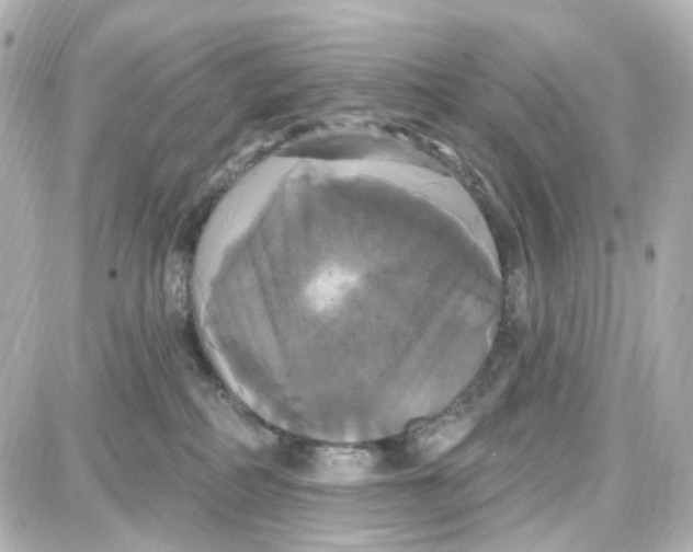 X0000087700234200705251741