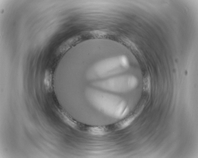 X0000087700238200705251741