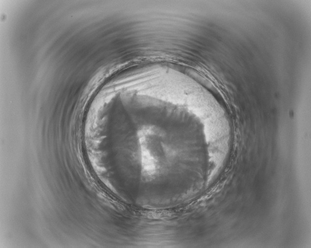 X0000087700241200705251740