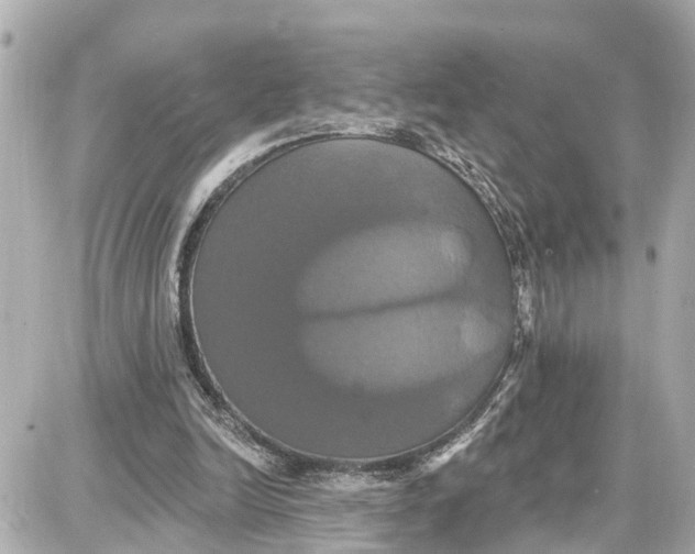 X0000087700246200705251740