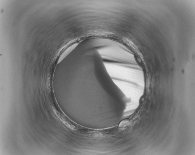 X0000087700249200705251740