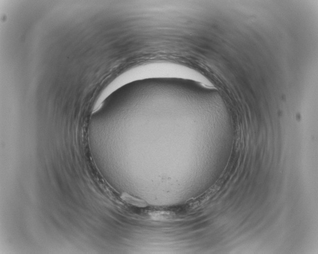 X0000087700268200705251741