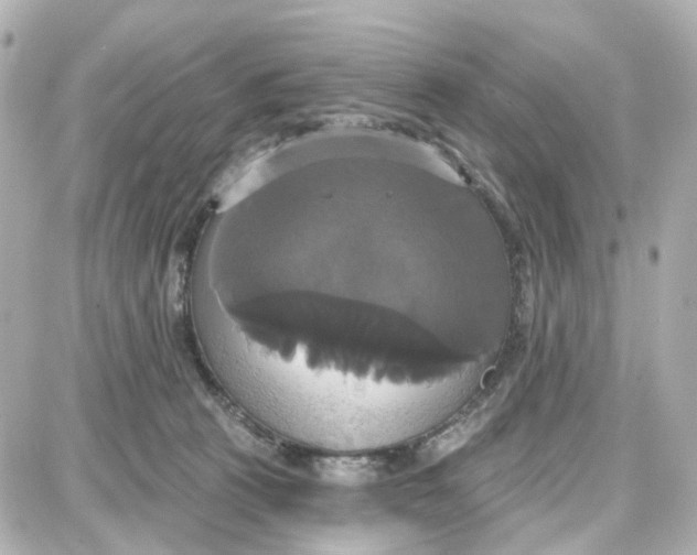 X0000087700273200705251741