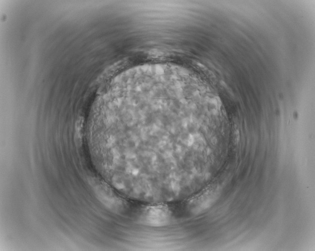 X0000087700275200705251741