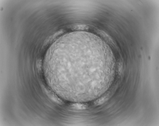 X0000087700326200705251740