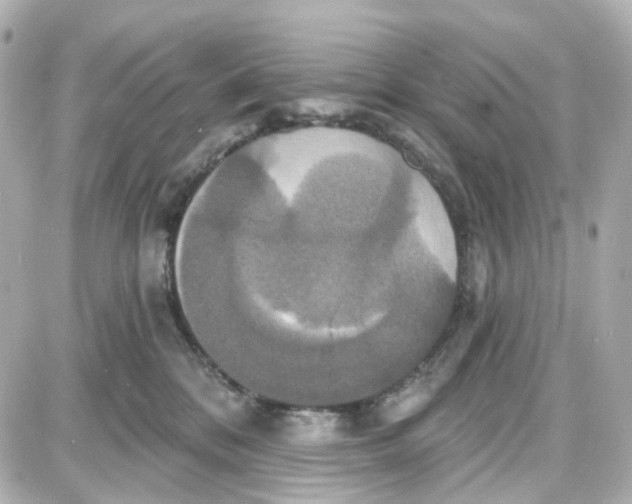 X0000087700328200705251740