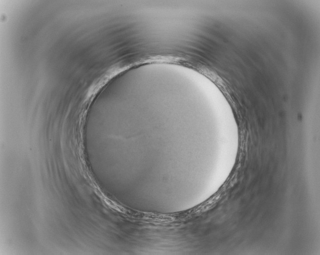 X0000087700337200705251739