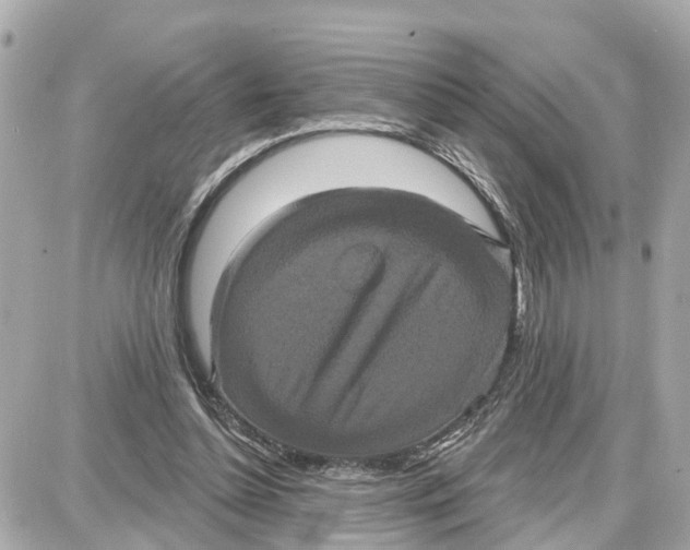 X0000087700348200705251739