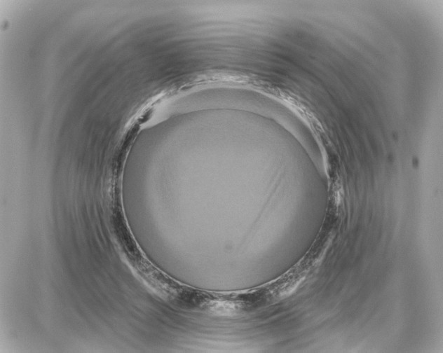 X0000087700352200705251739