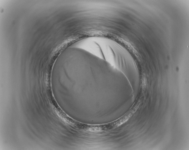 X0000087700353200705251739