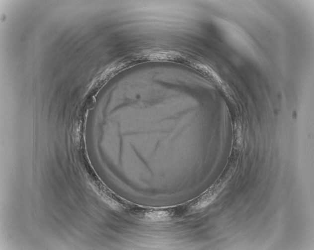 X0000087700357200705251739