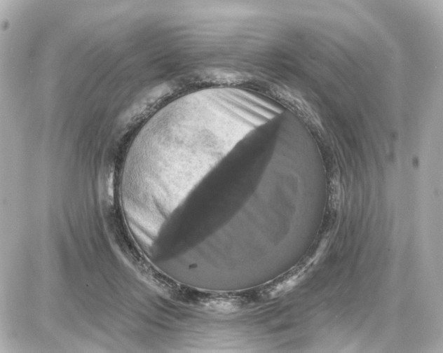 X0000087700358200705251739