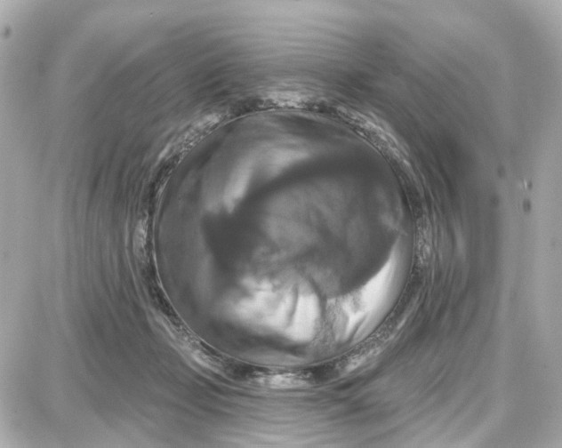 X0000087700365200705251739