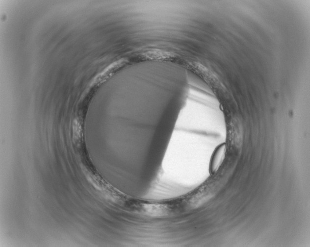 X0000087700371200705251739