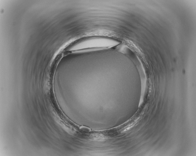 X0000087700392200705251739
