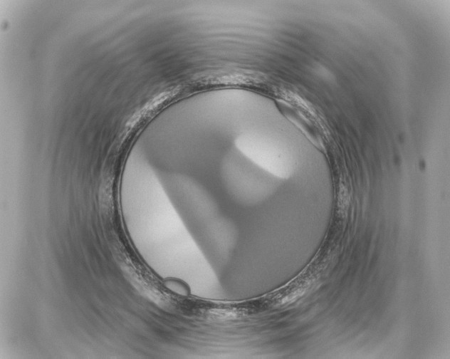 X0000087700394200705251739