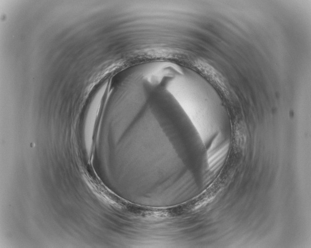X0000087700398200705251739