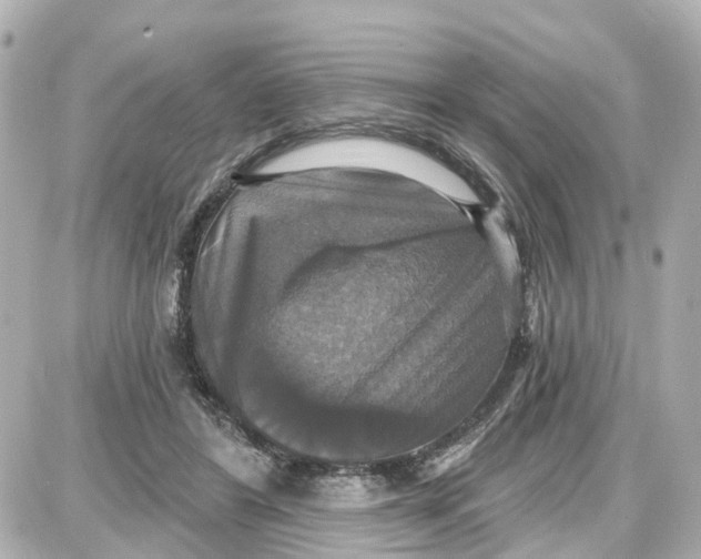 X0000087700404200705251738