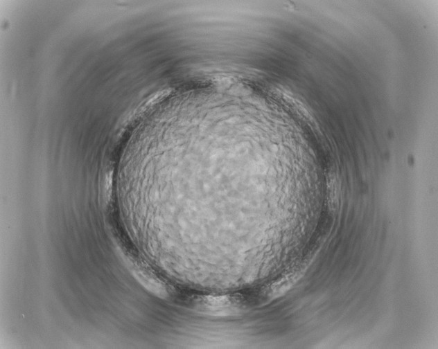 X0000087700406200705251738